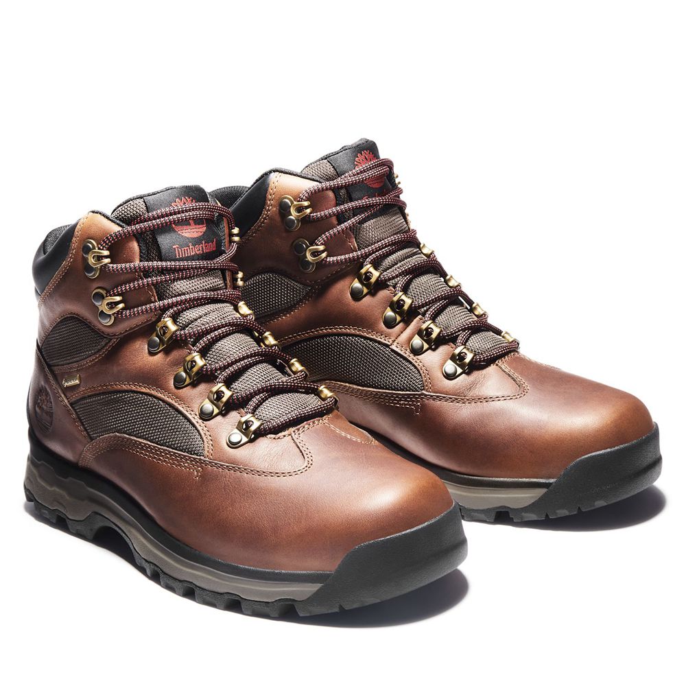Botas de Caminhada Masculino - Timberland Chocorua Trail 2.0 Impermeavel - KRLNJ5893 - Marrom